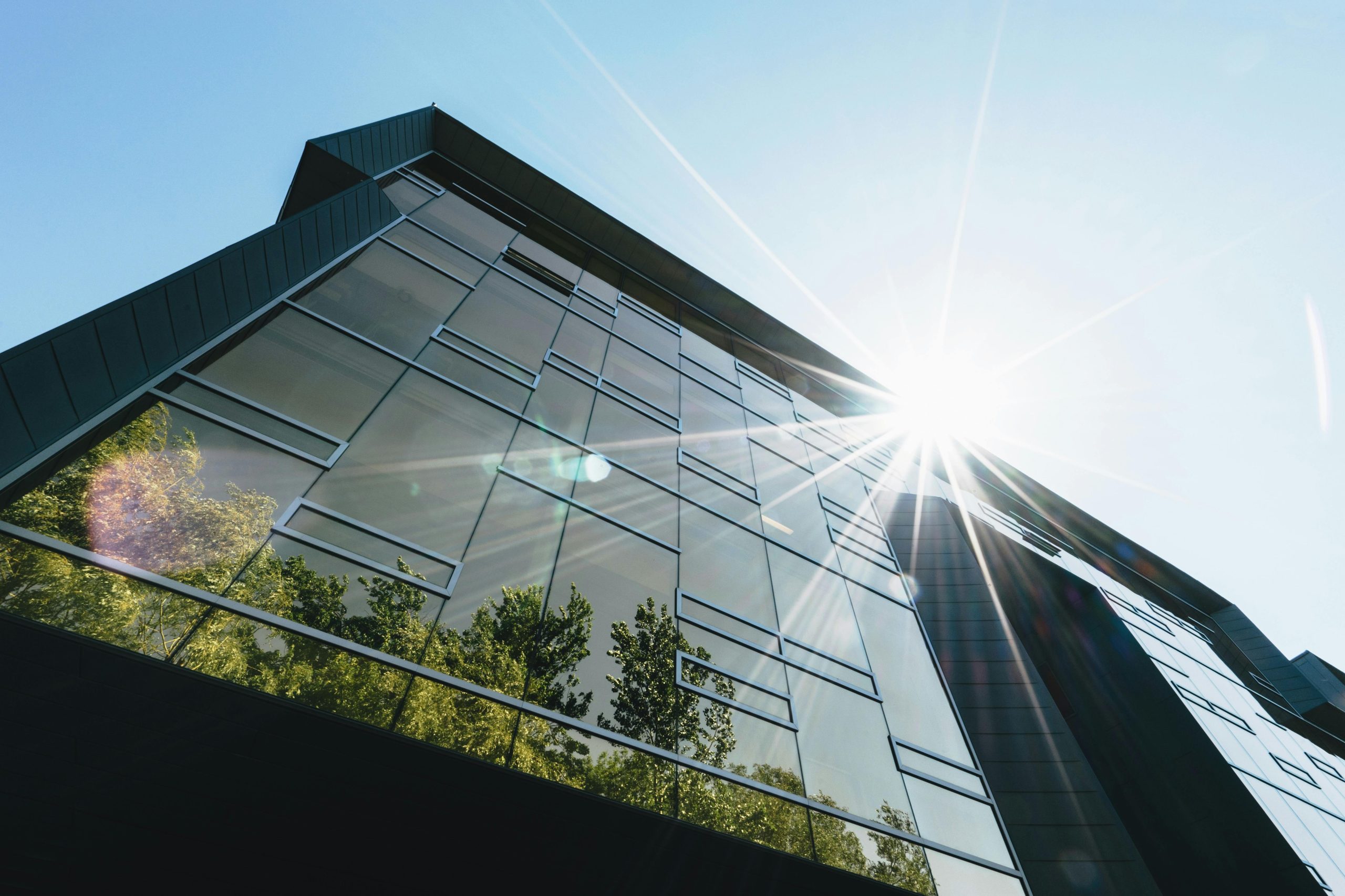 Green City e futuro sostenibile: un impegno collettivo